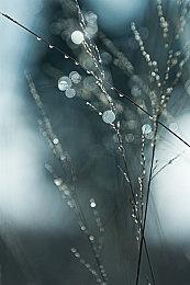 提升很明显 《地狱之刃2》正式版与宣传片对比视频